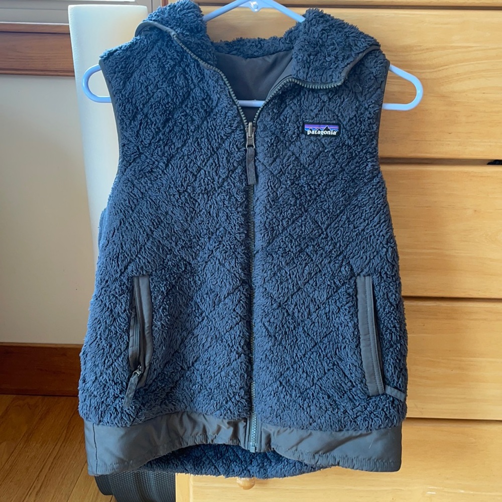 Patagonia hooded vest